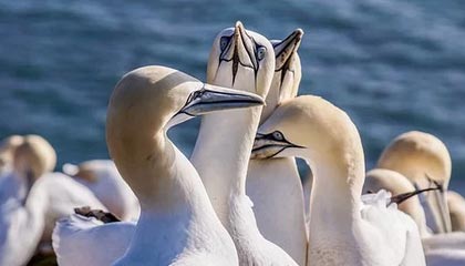 红河最新的高价医保卡惠民保险代扣怎么取消掉了方法分享(红河惠民医保怎么报销教程)